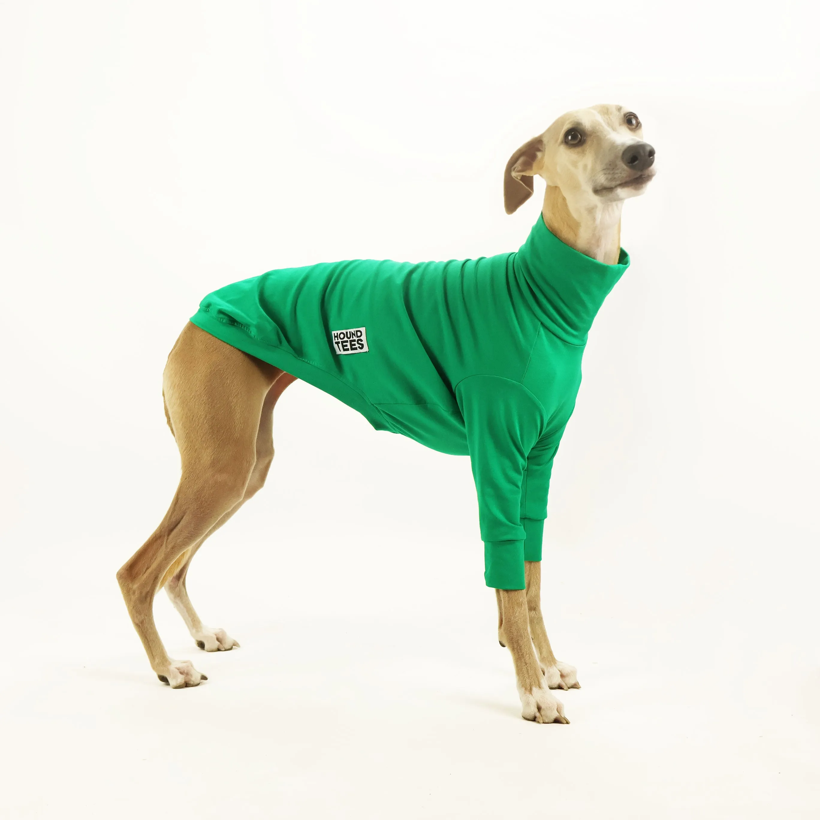 Lounge Lizard Whippet Long Sleeve Base Layer